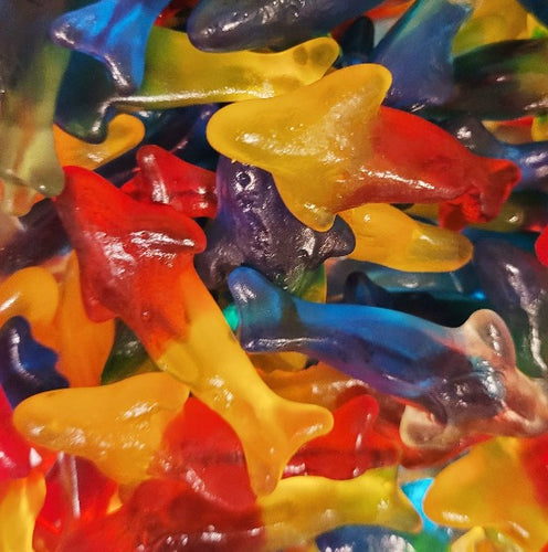 Assorted-Giant-Gummy-Dolphins